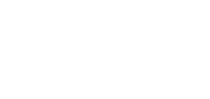 OWL & SKULL